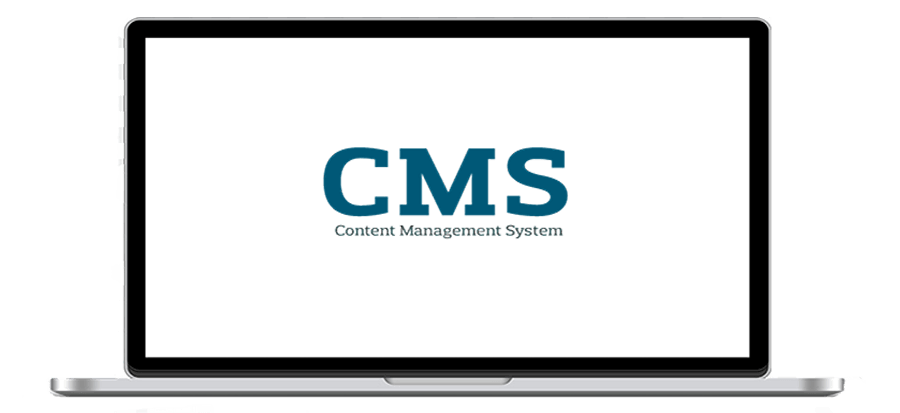 Custom CMS Services