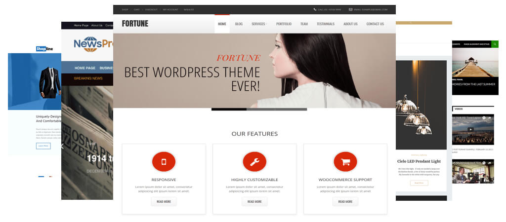 WordPress Theme Customization